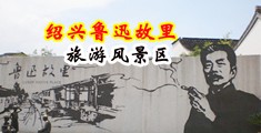 二次元艹逼视频中国绍兴-鲁迅故里旅游风景区